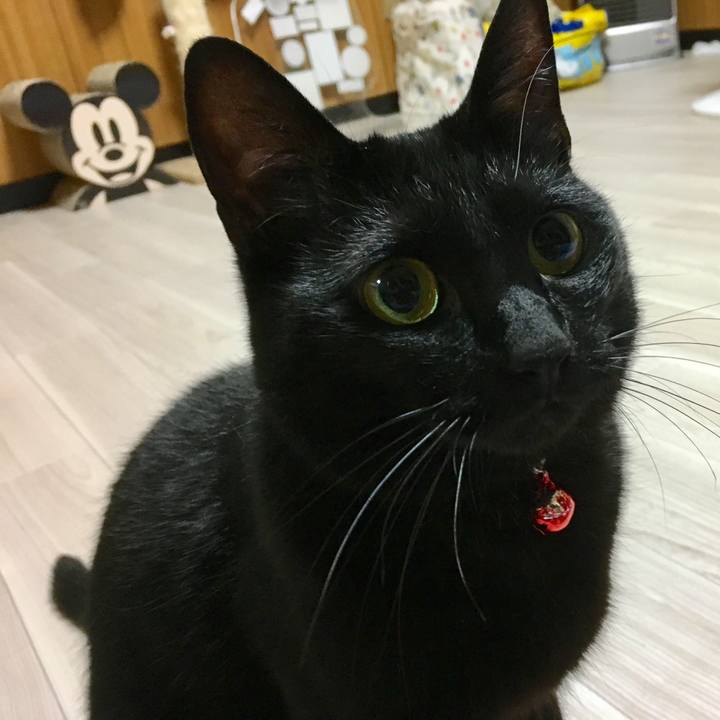 F394e742 beec 4193 8c93 93fd1945bbb6