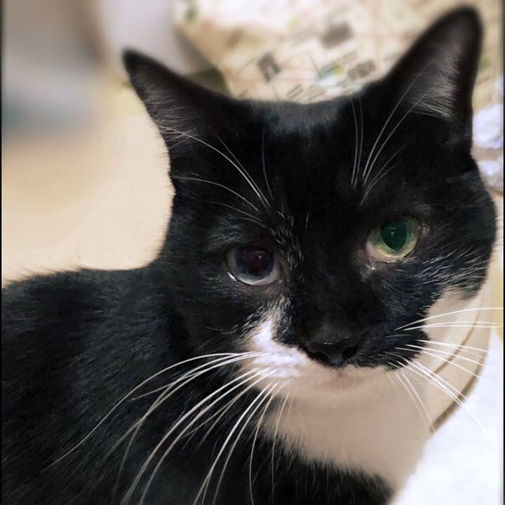 F394f3ad 79ff 40ce a2d2 67e75bcea681