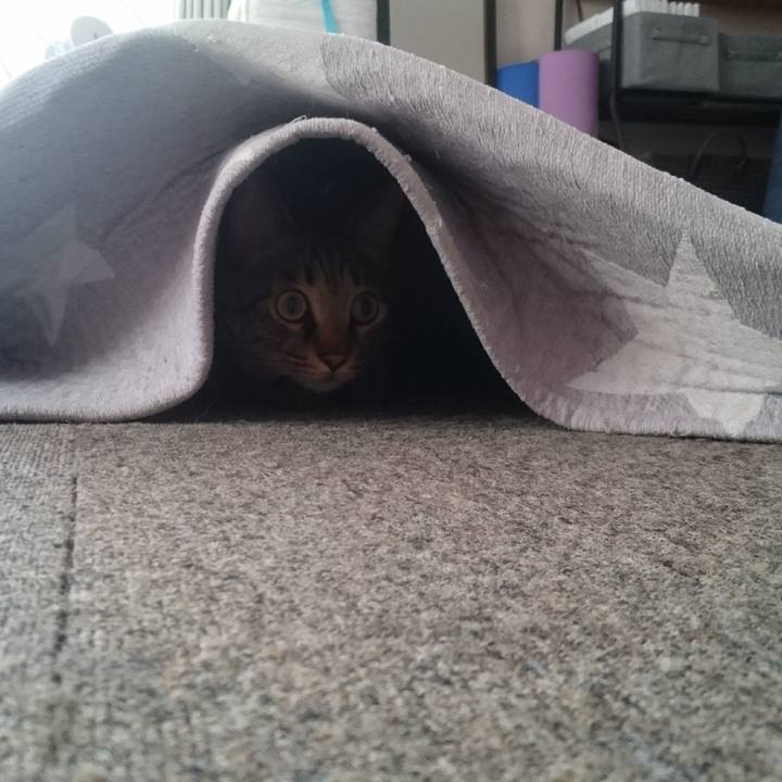 F394f435 96b0 4b8a a885 ef5095bd669b