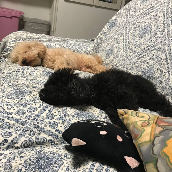 F3956e9e 5396 487e af72 ea82a3a9fa1a