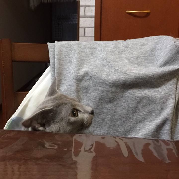 F395ca10 678e 4acf a666 d9df37eddbbd