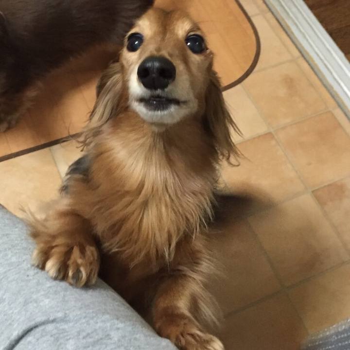 F395f505 9e7c 48a3 abc7 fd2b886c5ef2