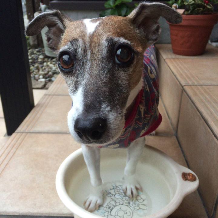 F3960a67 58db 4e47 b463 8541f3ac32a4