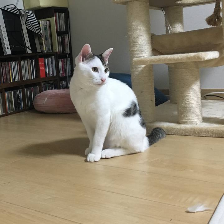 F396287a 1ab0 46af 97bf 5fd3540a9c6b