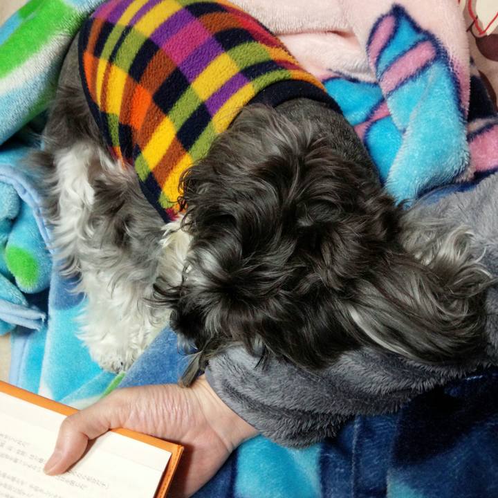 F396583b e27b 4841 96ca 05d9e2000544