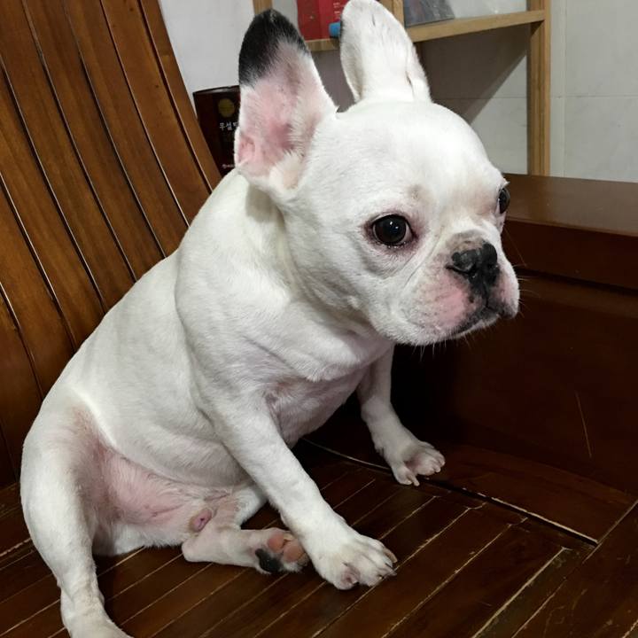 F3966d7b 8b9b 4e3b 9113 29082531e966