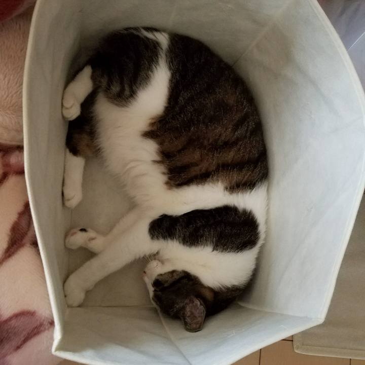 F396f594 c359 4f17 8756 ae02b75812fb