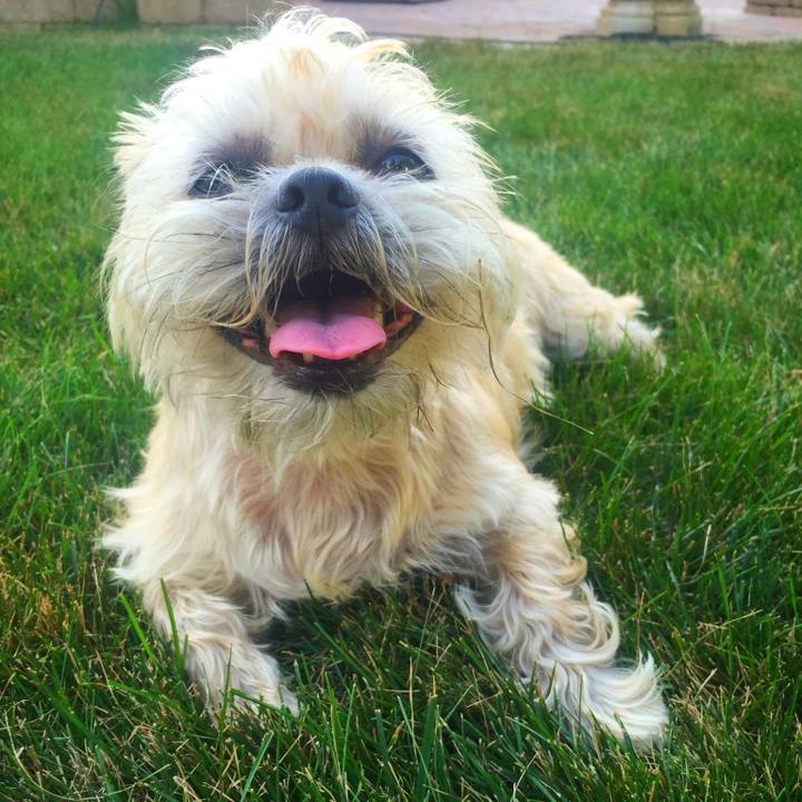 F3974cd6 ed5f 44b2 944c 826b3aa7c899