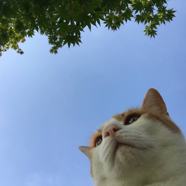 F3988a81 ca07 49ce 9029 6059012f8de8