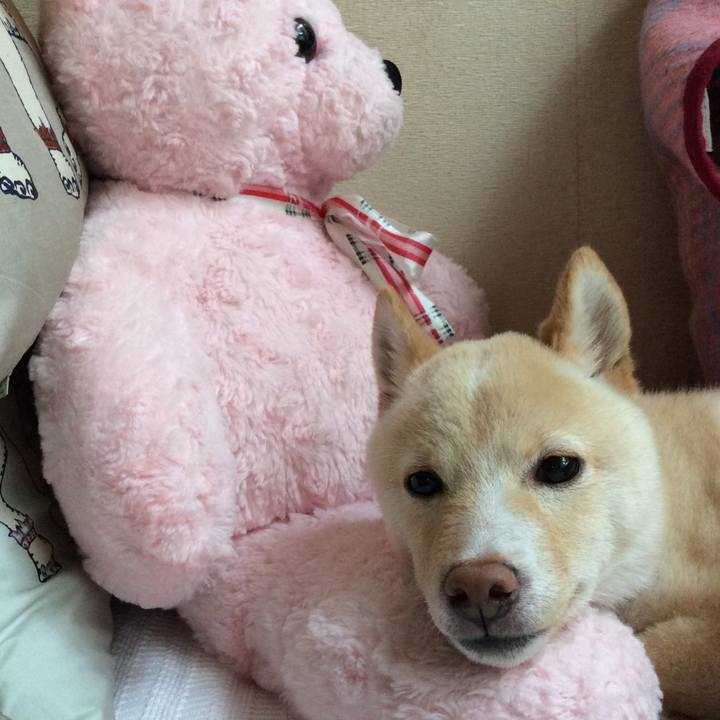 F398f62c f984 4e56 b834 57704c2b1ad4