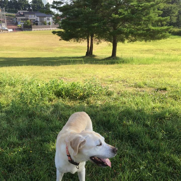 F3995c6f 4427 4056 bc6d 66ccc074936f