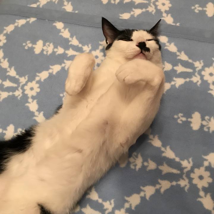 F39a01e5 6f27 4322 8e2d 2ca3c38091b6