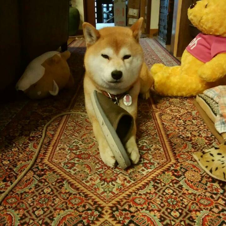 F39a7a5e f35d 4582 904b efb640de8f93