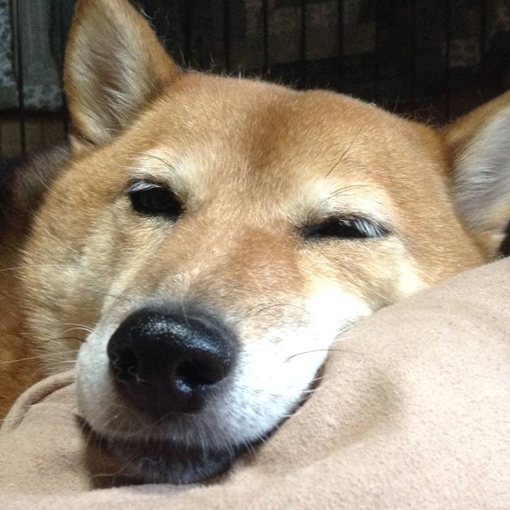 F39a8ffd 6ba9 4574 ab38 d3e2ecad2288