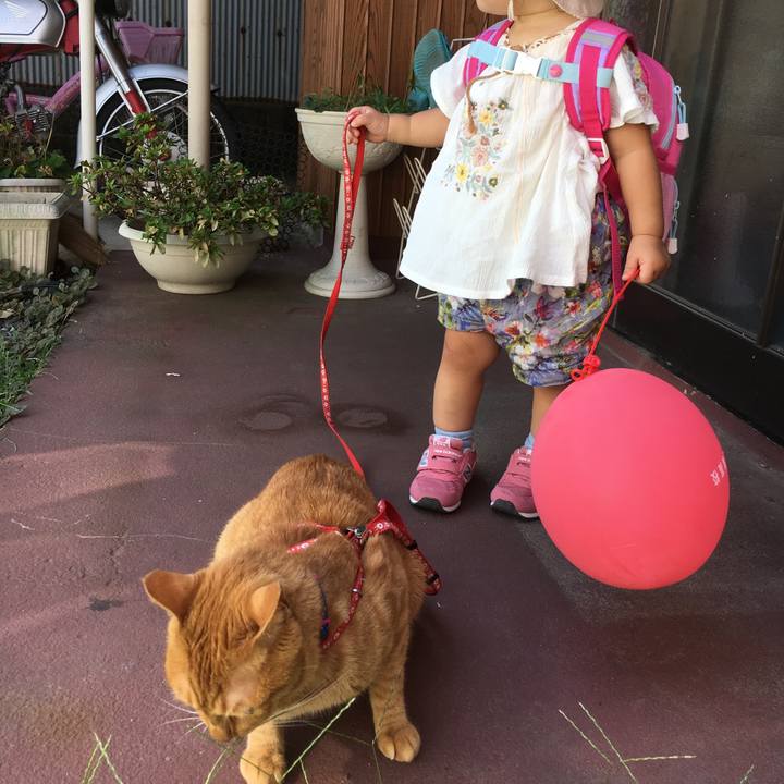 F39b37f3 dccc 4010 95aa 889eec576875