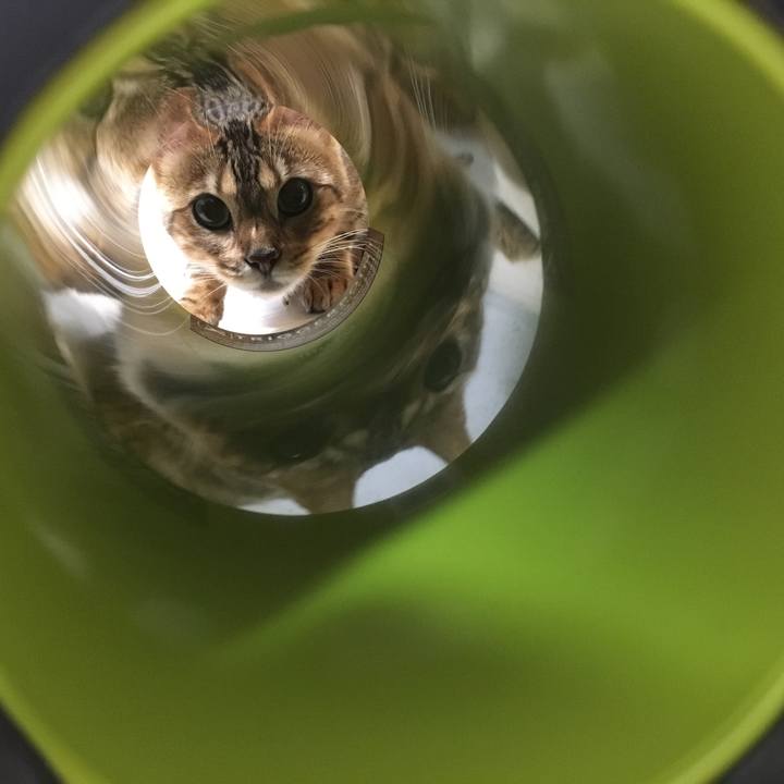 F39b4179 cb88 44f7 8f1f eedc80e5cee1