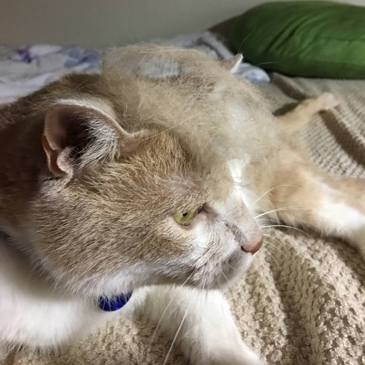 F39b80d4 2d54 4fcd be51 0c459d1d2273