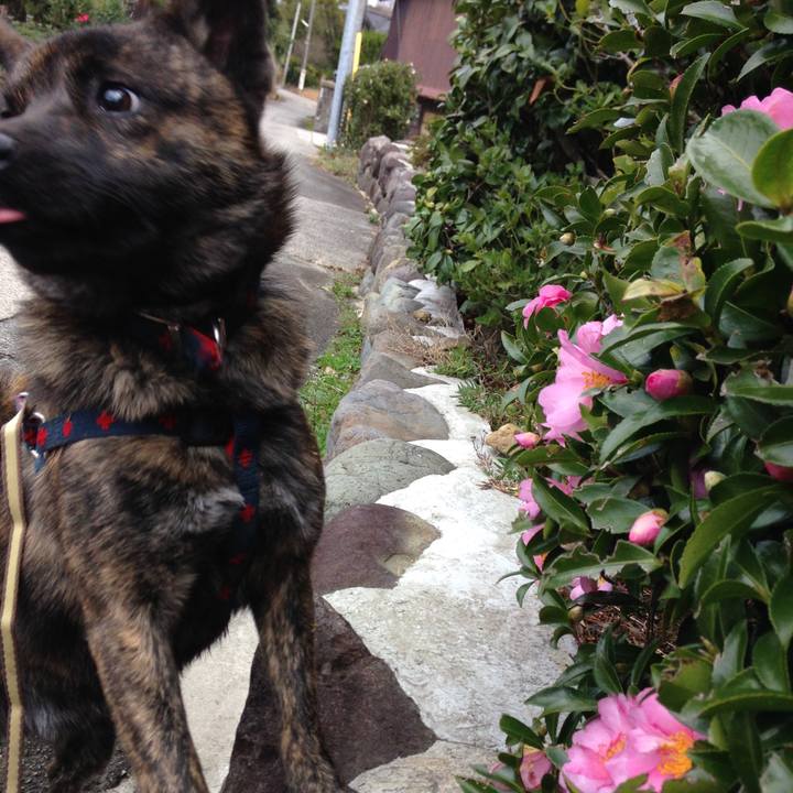 F39bdb6b 0bad 43b3 8658 5a55ba8d7a79