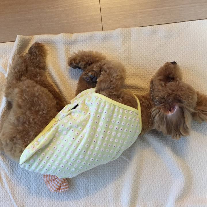 F39cd2b0 47dd 413e b3ba c4f9ccd6c401