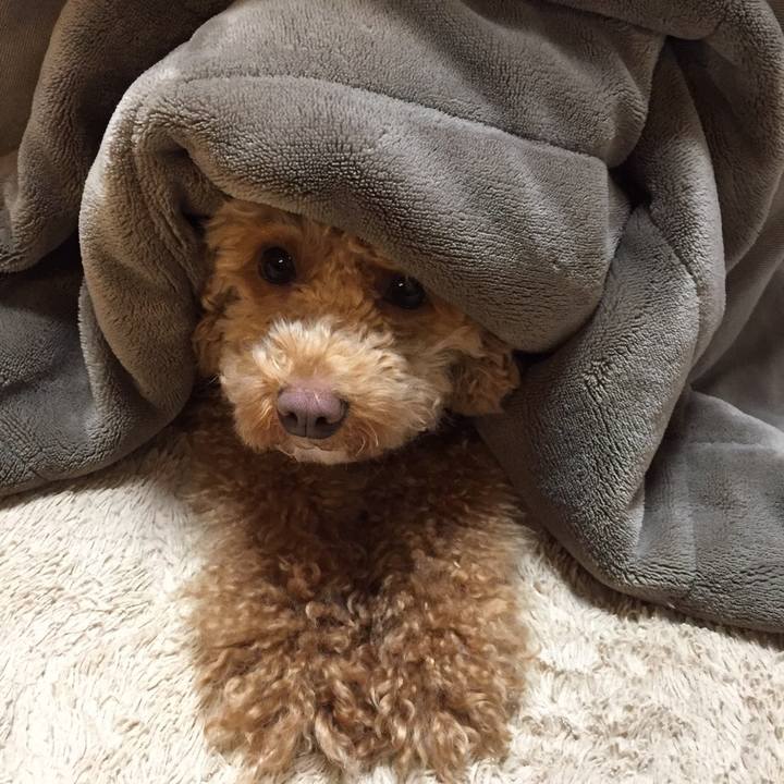 F39d6dfd c7a3 4ee5 8728 a31b34ce3e55