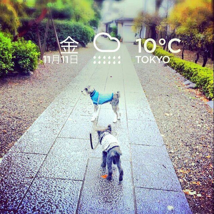 F39dc781 8fc1 483e b3a4 ebdeba76b602