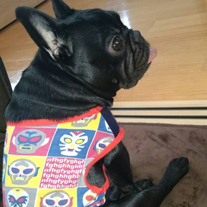 F39e193b 0f92 43ae 86af 5957100e319f