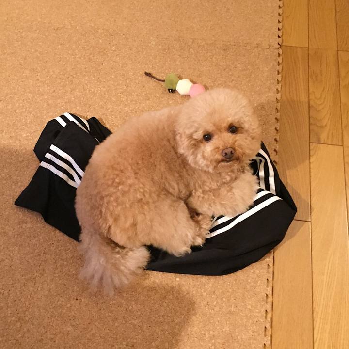 F39e2a54 5984 4c8a 96ee 38910d293542