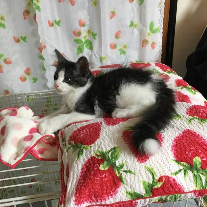 F39e6ede 2c22 44bb bf0e d22d14504fda