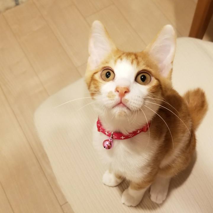 F39e918f 4247 4f8c 828f 6c73fda61f31