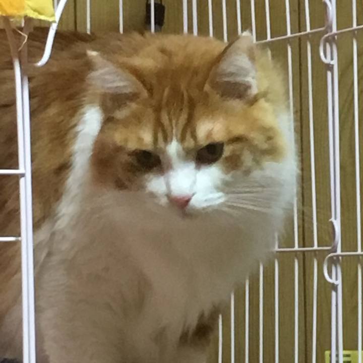 F39fbed7 6df0 4abb a478 b8cd2a92a2fa