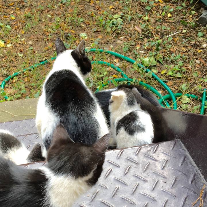 F39fcb43 6a49 4100 8eb7 d4152dcf2884