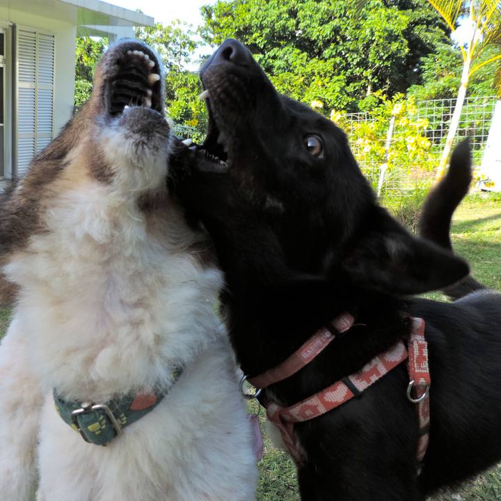 F3a0b89c 1b4a 4cfb 9df3 7edc90591be3