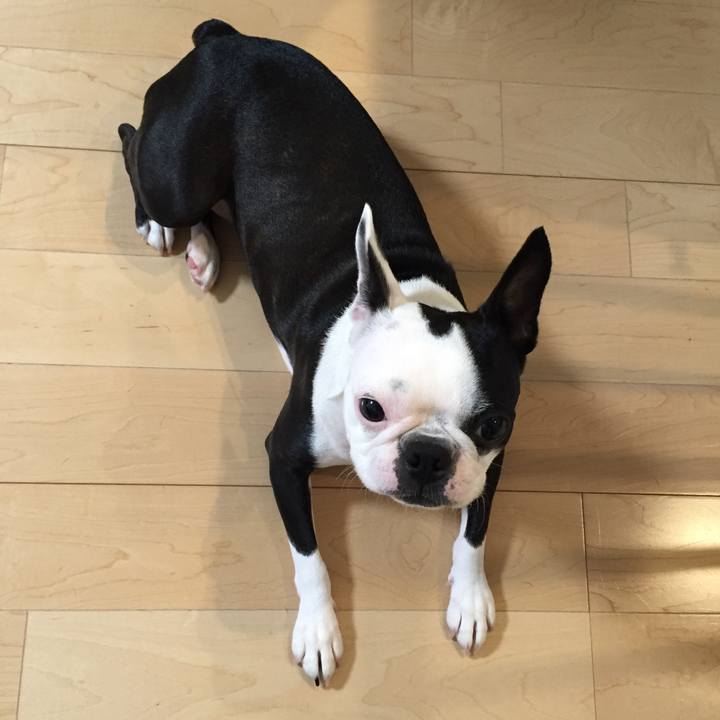 F3a0bbc0 6166 4f18 907a 63f3bcc6117c