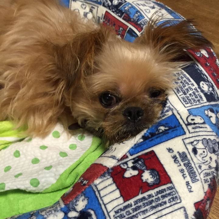 F3a12a23 49b1 4c9d 8b80 22e1386a3b3e