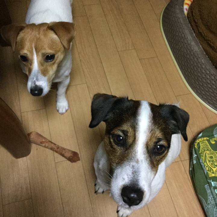 F3a1bc30 ae7b 483c ba9f 95c347cb6cd0