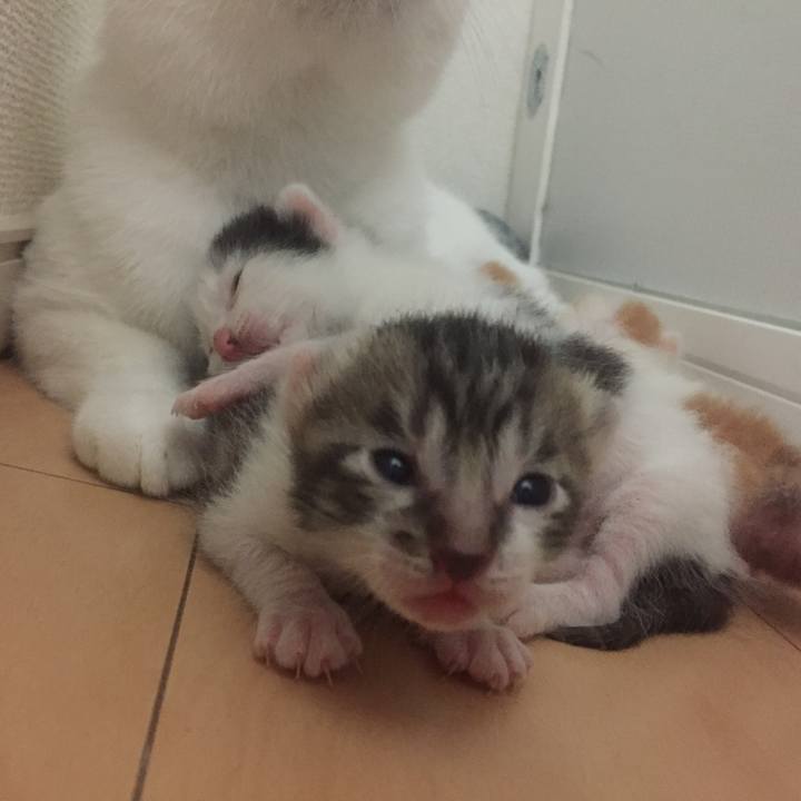 F3a2ff94 bd44 4785 b3f8 6497face1149