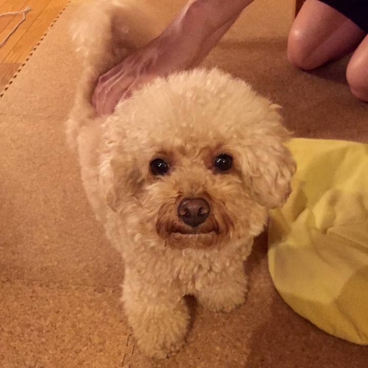 F3a34bad 2320 402a ba73 2b244055c7e8