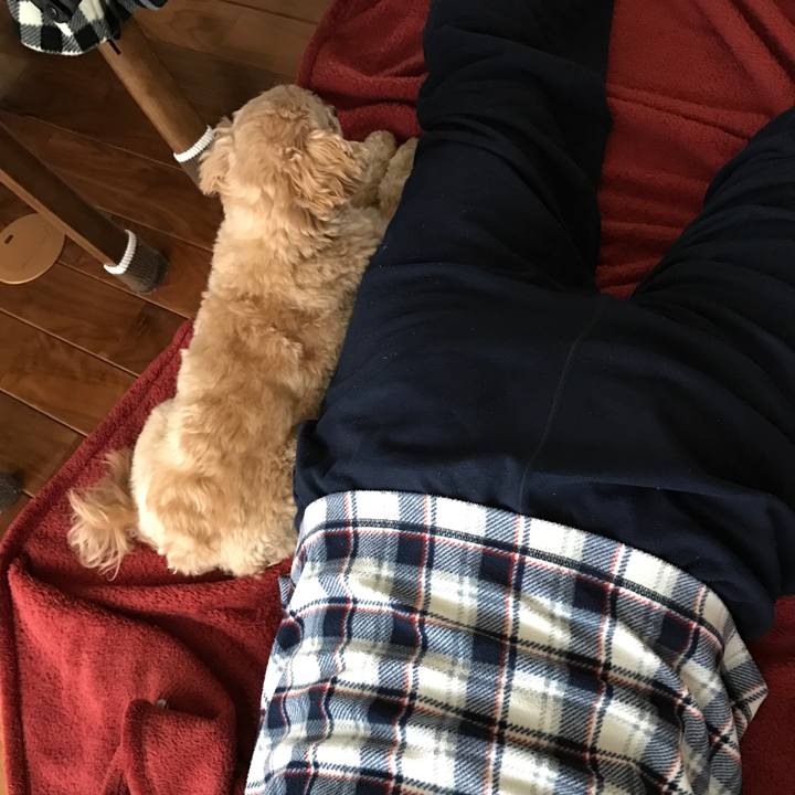 F3a3705d 4ab4 4b28 a23f cde72f721c35