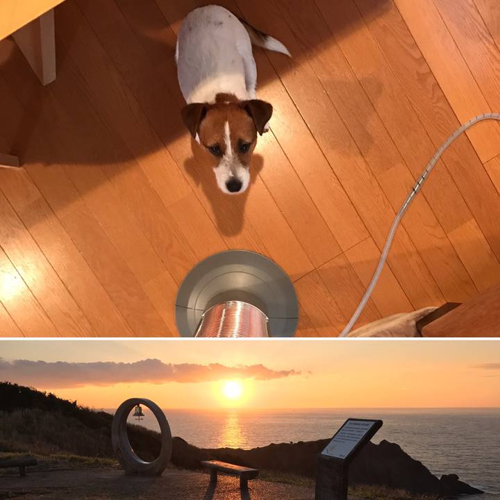 F3a3ebd6 bd79 4bf8 bb39 709baa52e904