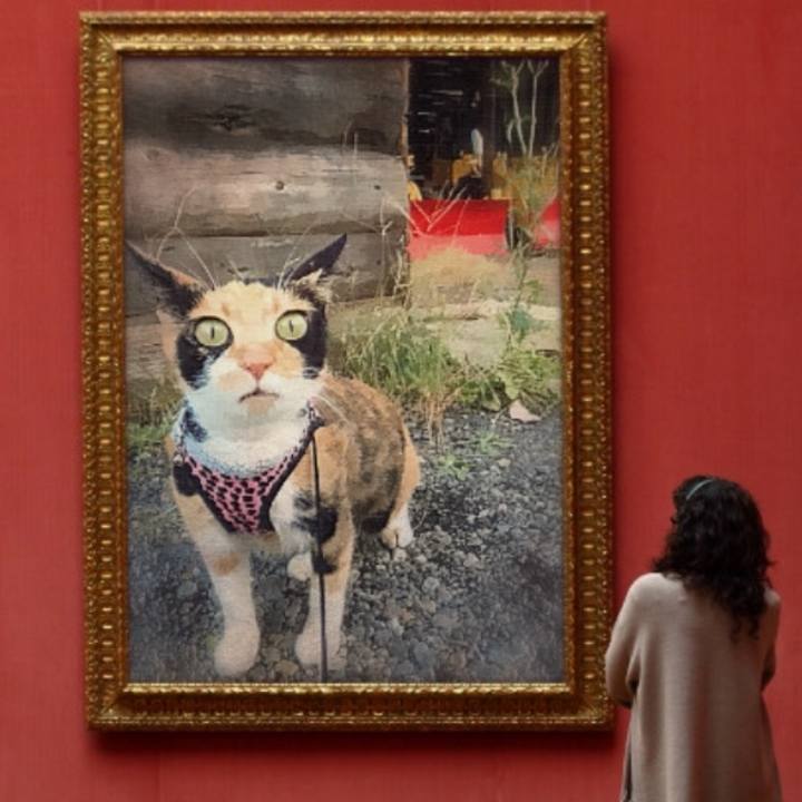 F3a3ef4c 6450 41f6 b928 31785178346f