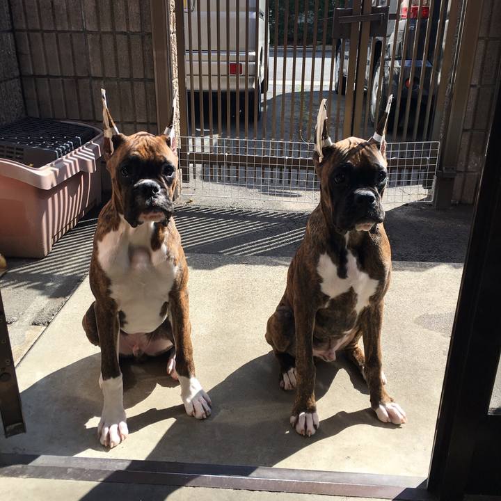 F3a3ef6c fa77 4106 8aa6 ee276f761e24