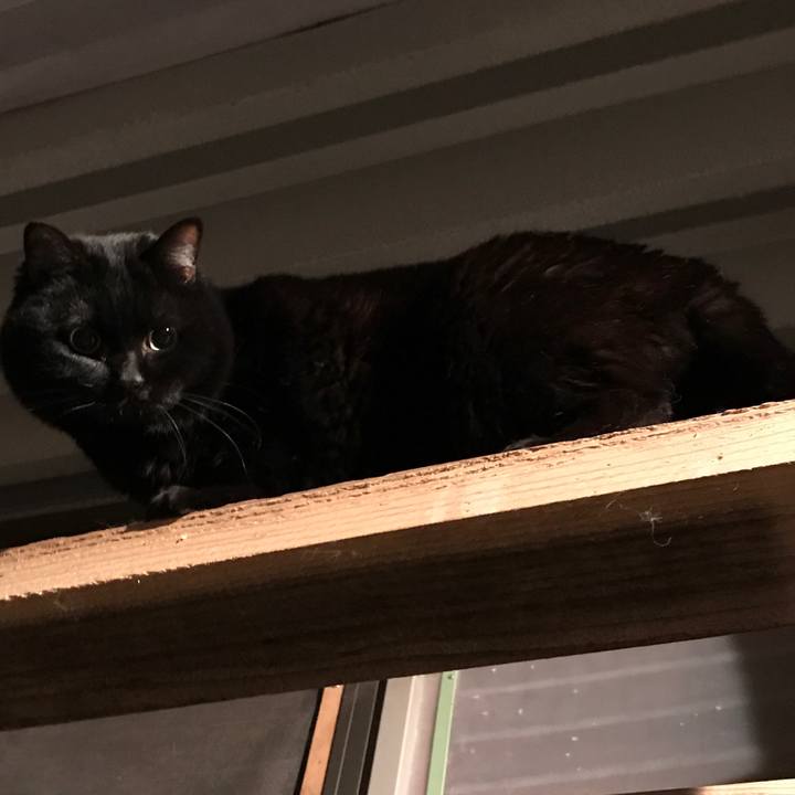 F3a42e03 e62d 42e9 a078 6b93456d3a6d