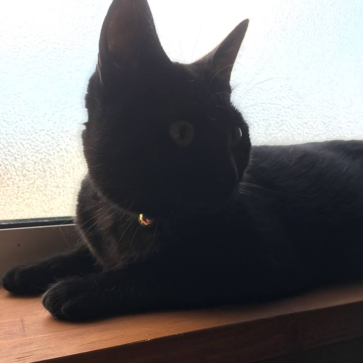 F3a4b456 ef8d 4893 8884 3fa5b6cdc5e9