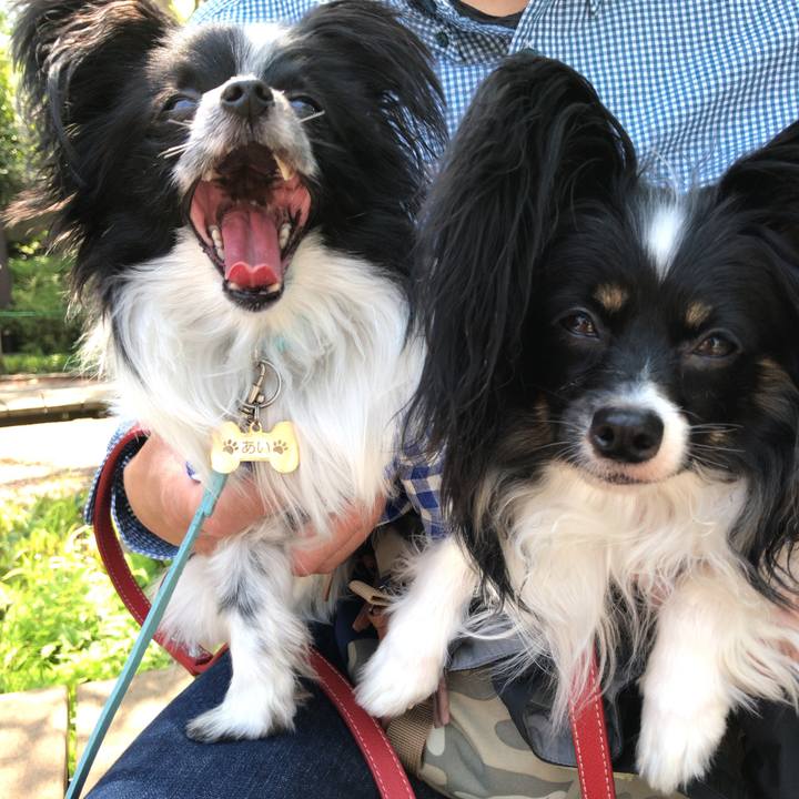 F3a5ecfc 6888 4d6e 87f8 2fee78a558cf