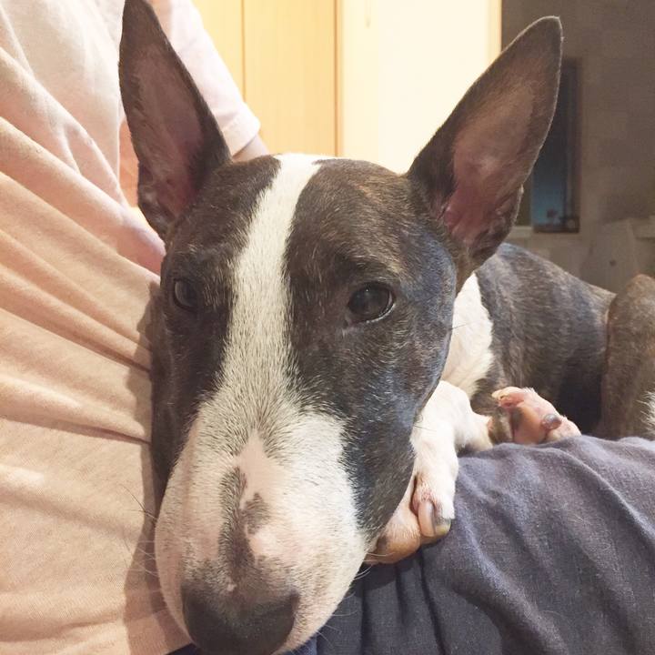 F3a5f1fb 0e5a 49dd 9f2a dae8d0d1408c