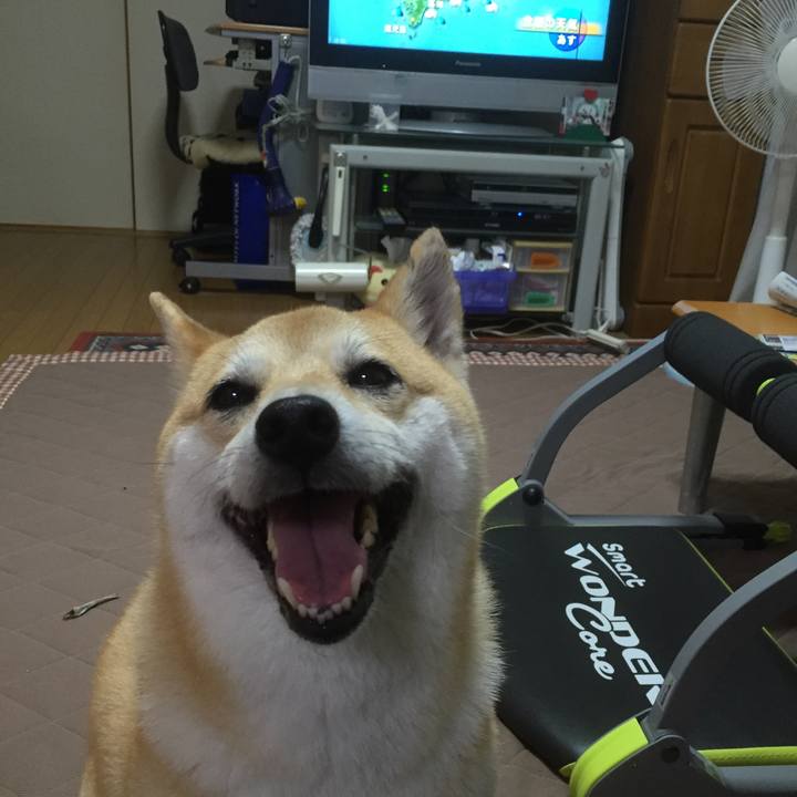 F3a68fbc 938e 4294 aa9b 7a36c5295e7a