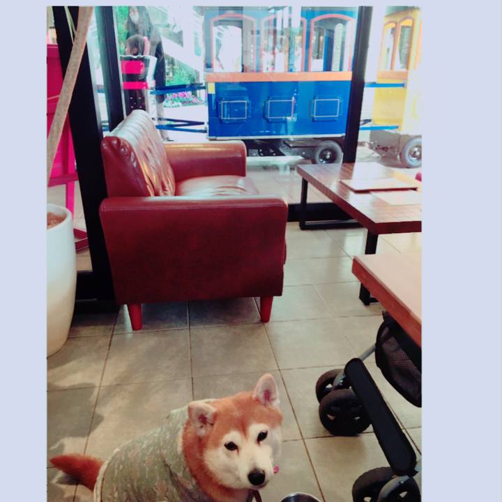 F3a89da4 b572 4dbb af4a 9a1b9430a430