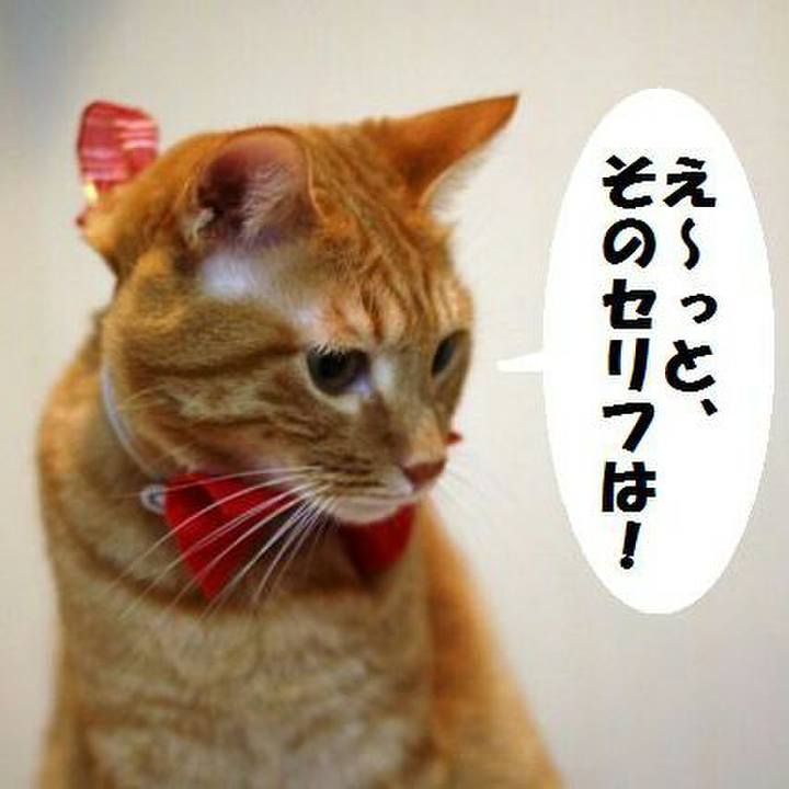 F3a8f51f 625b 41c1 80fe c63a6301bbc3