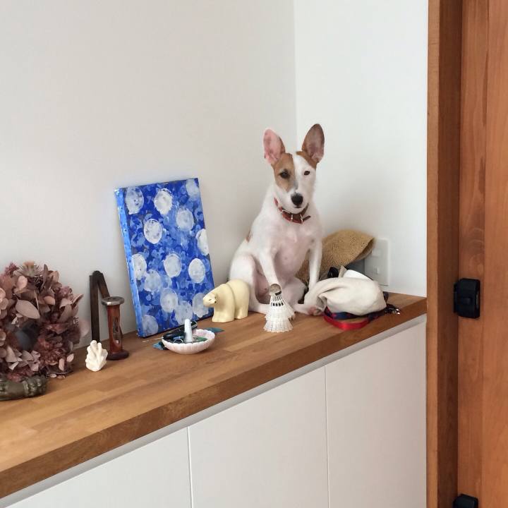 F3a94052 cf07 4a40 87e4 ab3f92970562