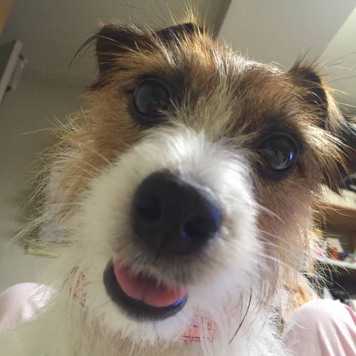 F3a97f20 69c0 4e26 804d 16f0420145ea